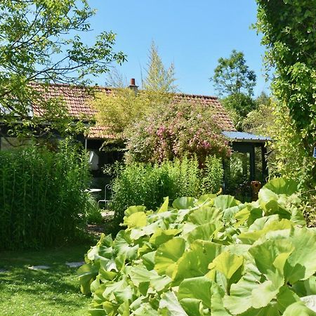 Chambres D'Hotes, Gites La Petite Madeleine La Madelaine-sous-Montreuil Ngoại thất bức ảnh